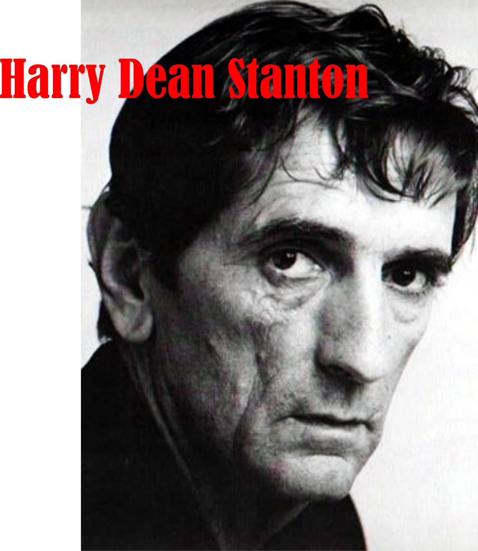 HARRY DEAN STANTON 12