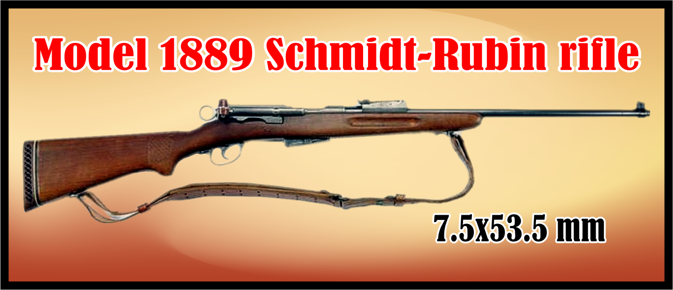 Streets of laredo  Model 1889 Schmidt-Rubin rifle