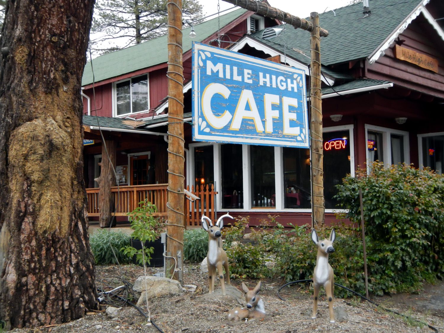 Mile High Cafe ... Idyllwild
