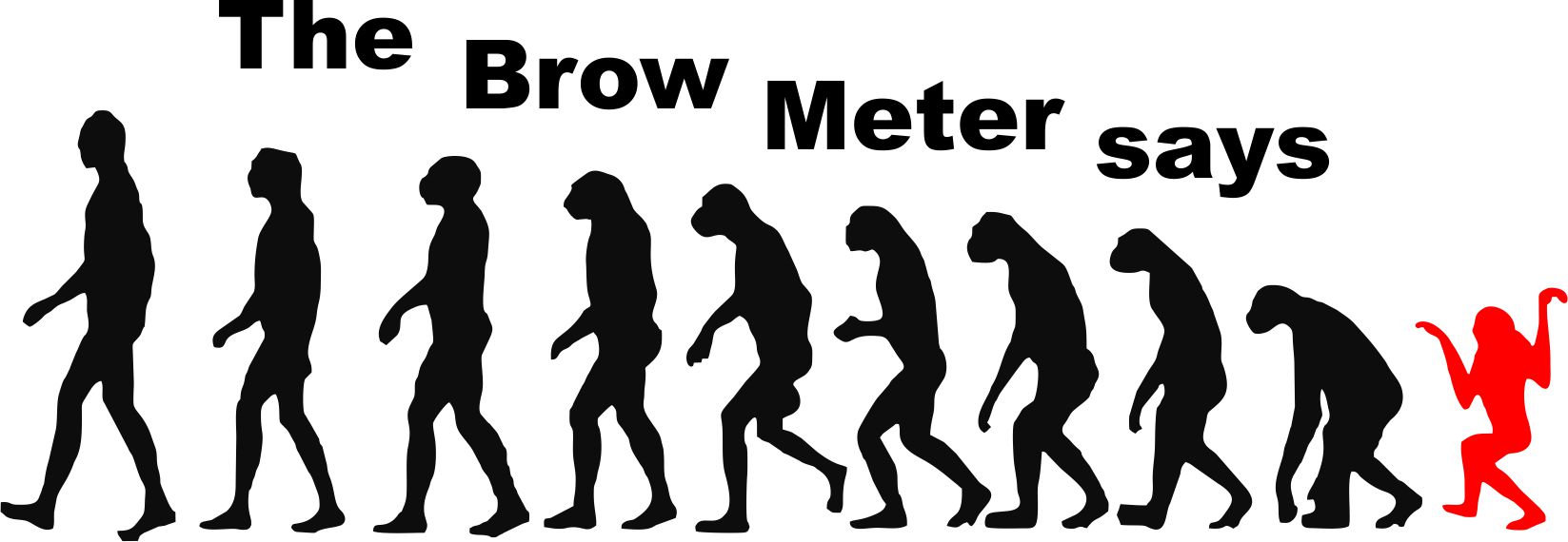 The Brow Meter