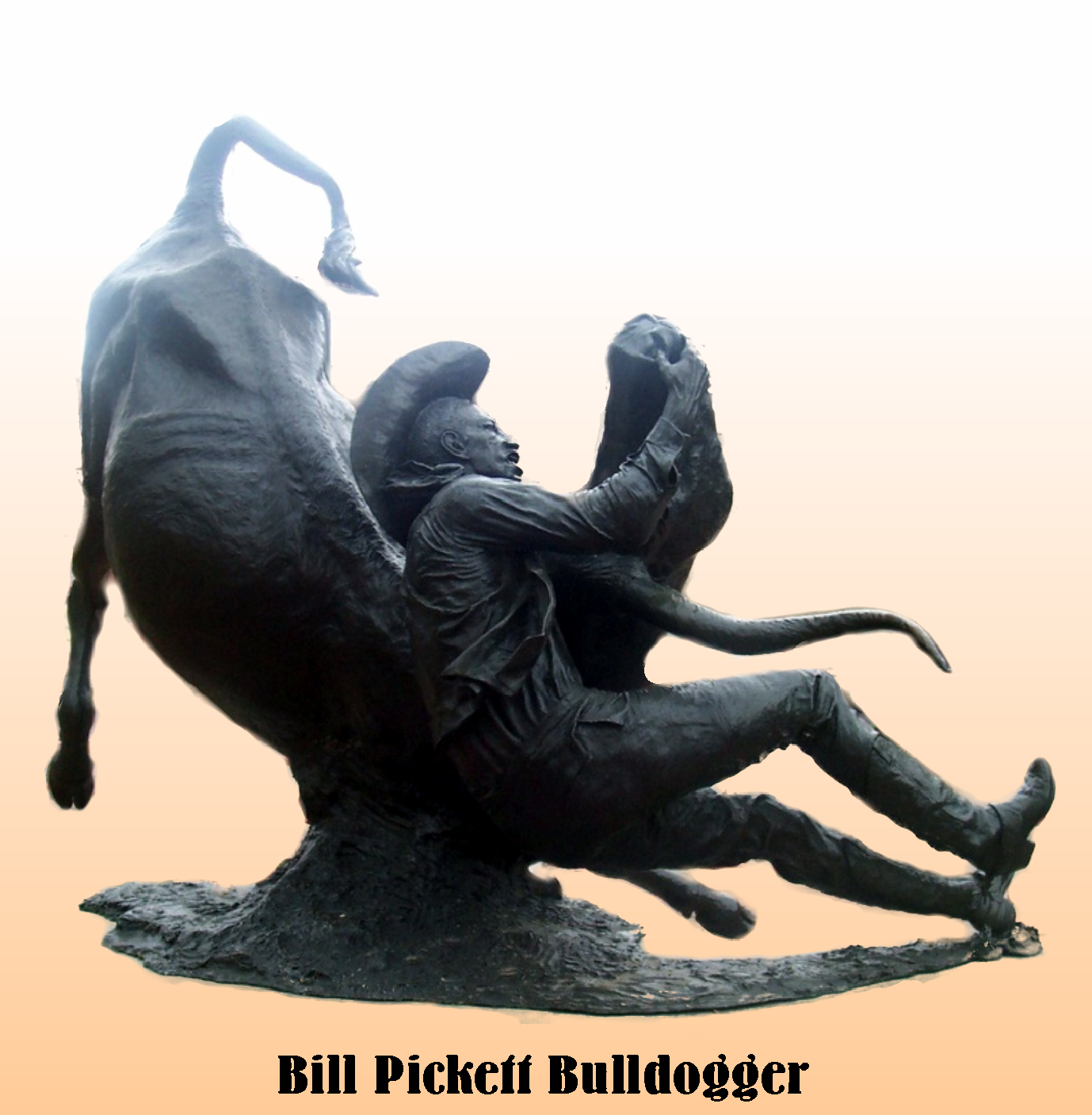 Bill Pickett bulldogger