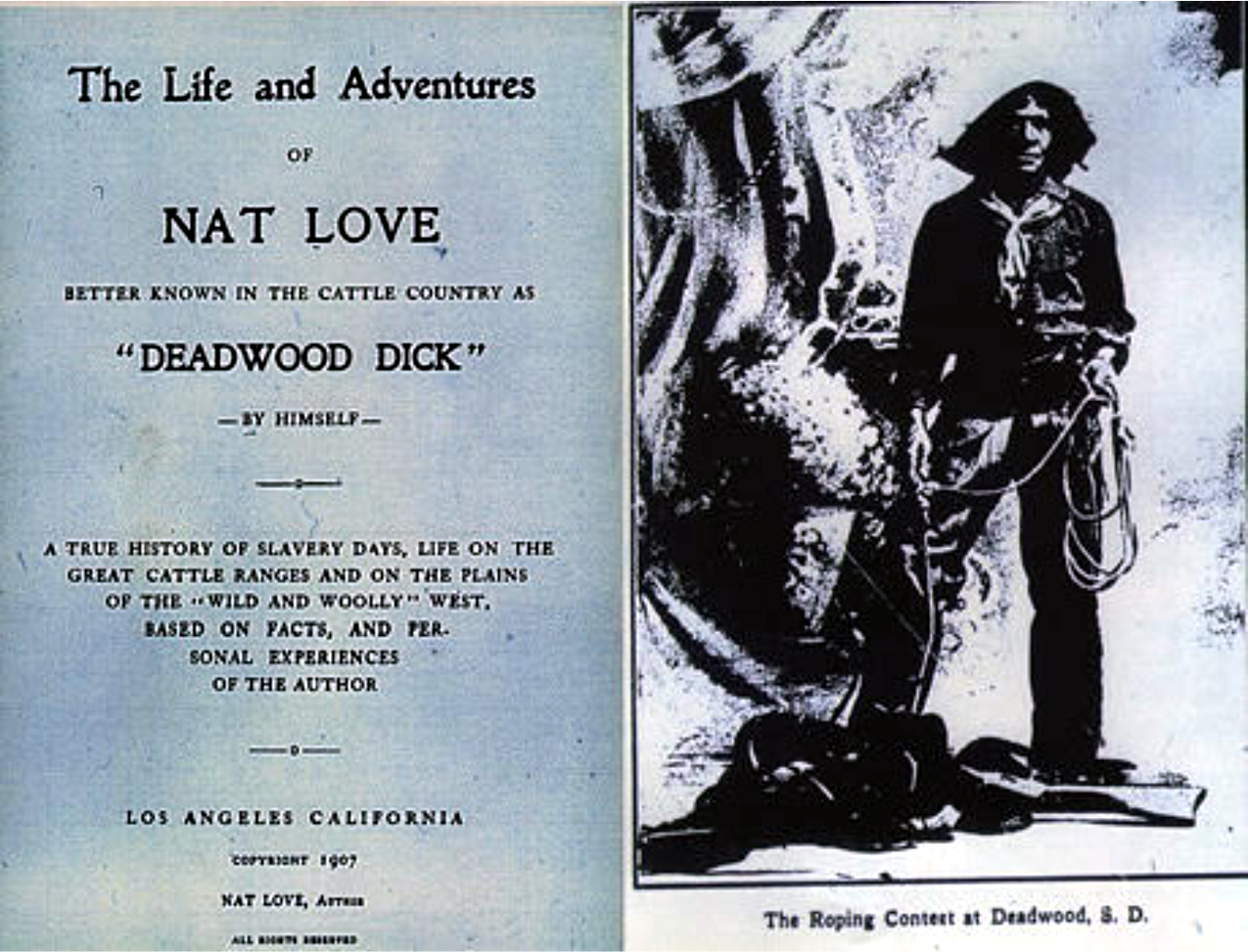 Nate Love Book 2