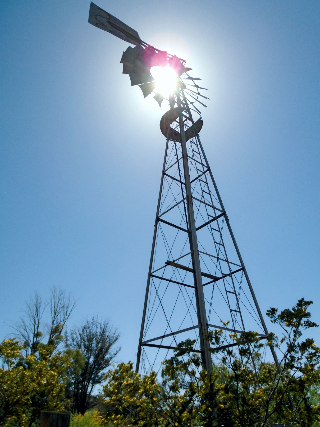 Colossal Ranch windmill