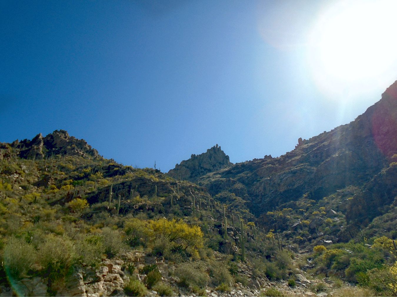 Sabino Canyon at the top