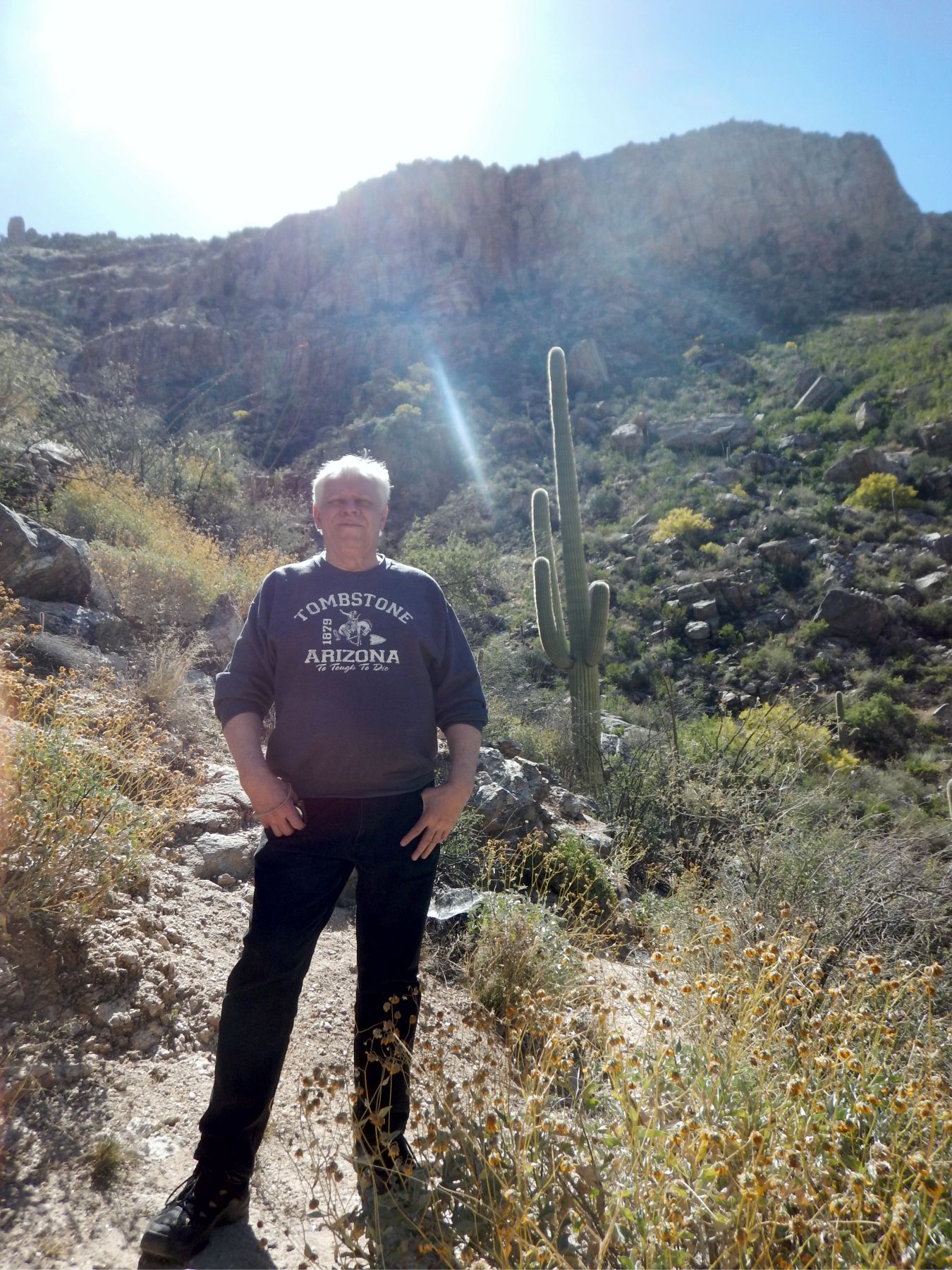 Sabino Canyon - Geezer and cactus