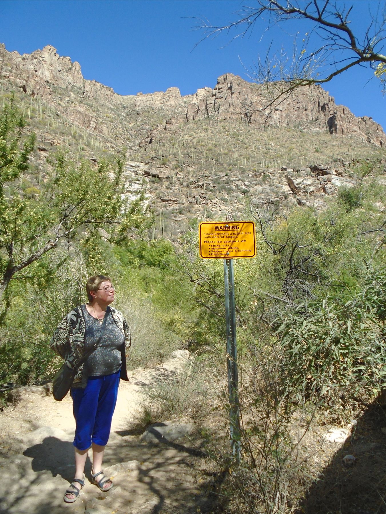 Sabino Canyon sign